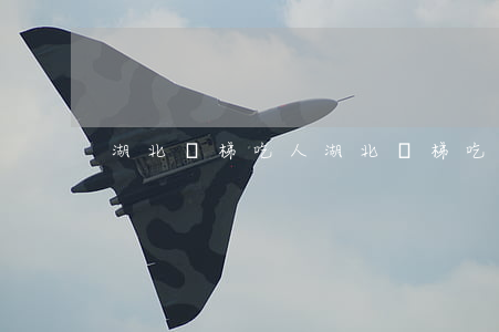 湖北電梯吃人(湖北電梯吃人所有視頻)