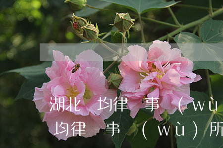 湖北靈均律師事務(wù)所怎么樣?(湖北靈均律師事務(wù)所)