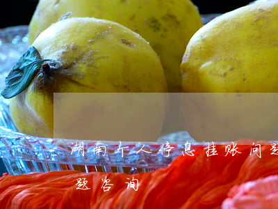 湖南个人停息挂账问题(湖南个人停息挂账问题咨询)