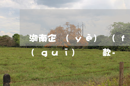 湖南企業(yè)負(fù)債逾期如何規(guī)劃還款-