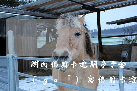 湖南信用卡逾期多少金額會被起訴(今年新規(guī)定信用卡逾期多久會起訴)