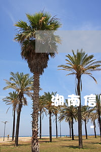 湖南信用卡逾期怎么申請(qǐng)停息掛賬-湖南信用卡逾期怎么申請(qǐng)停息掛賬的
