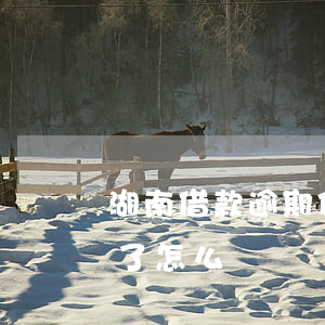 湖南借款逾期停息掛賬哪家好(停息掛賬逾期了怎么辦)