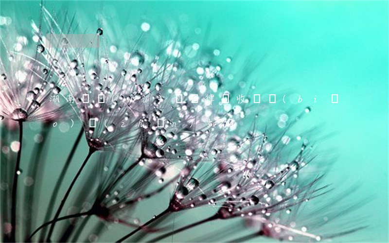 湖南債務(wù)糾紛律師收費標(biāo)準(zhǔn)如何