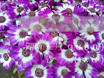 湖南債權(quán)債務(wù)律師介紹 長沙債務(wù)糾紛律師事務(wù)所排名