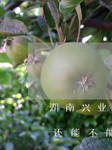湖南兴业银行逾期还款协商(兴业逾期三个月还能不能去银行协商还款)