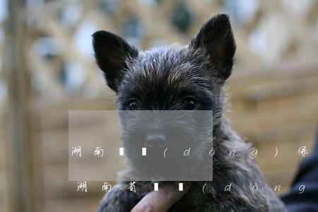 湖南勞動(dòng)保障網(wǎng)(湖南省勞動(dòng)保障公共服務(wù)網(wǎng))