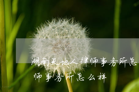 湖南天地人律师事务所怎么样(湖南天地人律师事务所怎么样)