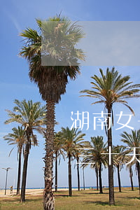 湖南女子花唄逾期三十天(湖南女子花唄逾期三十天)