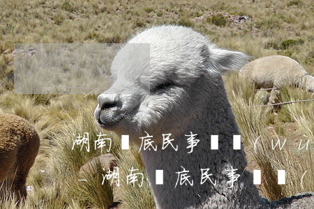 湖南婁底民事債務(wù)糾紛律師多少錢-湖南婁底民事債務(wù)糾紛律師多少錢一次
