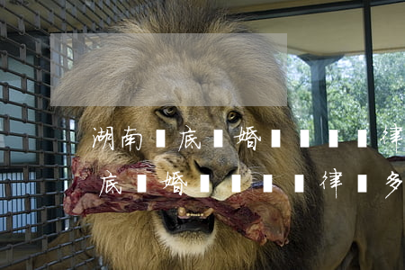湖南婁底離婚債務糾紛律師多少錢-湖南婁底離婚債務糾紛律師多少錢啊