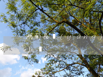 湖南岳陽(yáng)周雨欠網(wǎng)貸