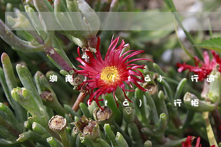 湖南廣發(fā)銀行逾期協(xié)商(廣發(fā)銀行拒絕協(xié)商還款)