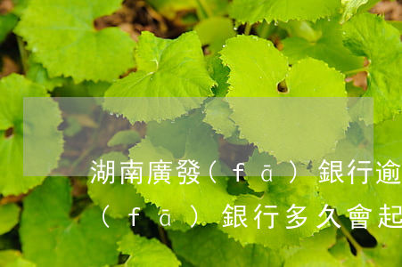 湖南廣發(fā)銀行逾期多久被起訴 廣發(fā)銀行多久會起訴