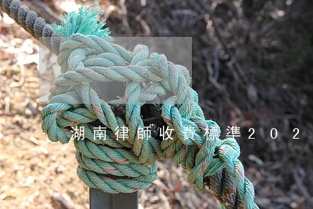 湖南律師收費標準2021