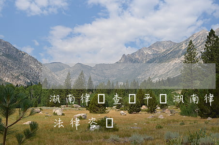 湖南律師查詢平臺(湖南律師事務(wù)所法律咨詢)