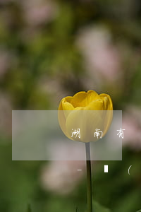 湖南有實(shí)力的債務(wù)律師-長(zhǎng)沙債務(wù)糾紛律師事務(wù)所排名