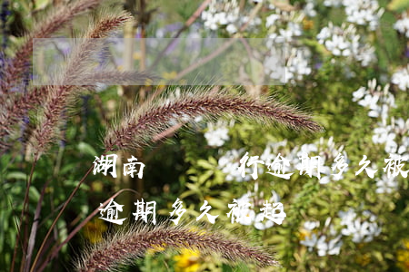 湖南東亞銀行逾期多久被起訴(湖南東亞銀行逾期多久被起訴)