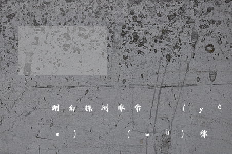 湖南株洲非常專業(yè)的債權(quán)債務(wù)律師-株洲追債公司