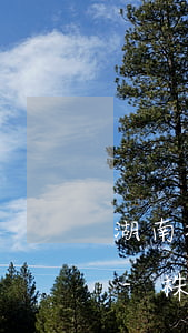 湖南株洲非常專業(yè)的債權債務律師-株洲追債公司