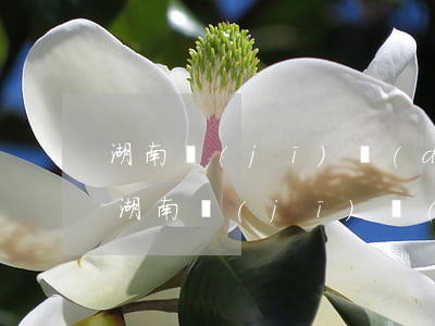 湖南機(jī)動(dòng)車違章查詢(湖南機(jī)動(dòng)車違章查詢官方網(wǎng)站)