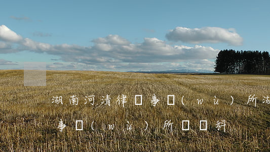 湖南河清律師事務(wù)所(湖南河清律師事務(wù)所陳萬科)