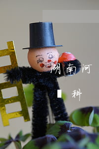 湖南河清律師事務所(湖南河清律師事務所陳萬科)