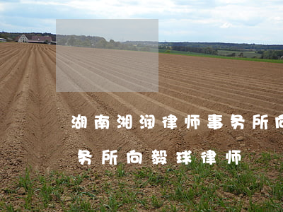 湖南湘润律师事务所向球毅(湖南湘润律师事务所向毅球律师)