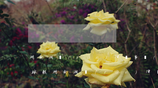 湖南湘潤(rùn)律師事務(wù)所向球毅(湖南湘潤(rùn)律師事務(wù)所向毅球律師)