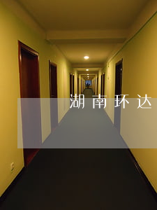 湖南环达路桥贷款逾期(贷款逾期被起诉)