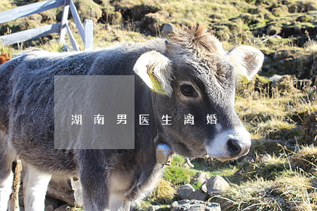 湖南男医生离婚