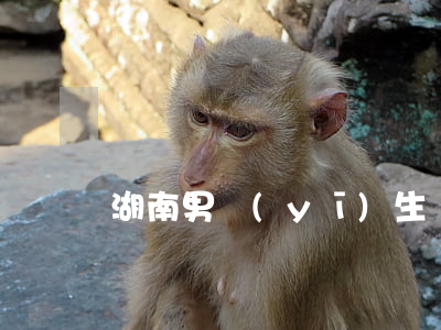湖南男醫(yī)生離婚
