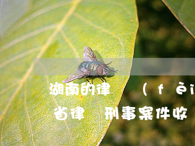湖南的律師費(fèi)是怎么核算的(湖南省律師刑事案件收費(fèi)標(biāo)準(zhǔn))