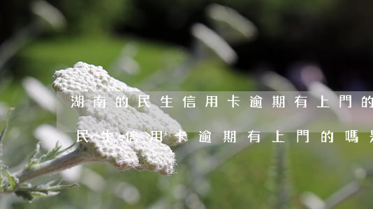 湖南的民生信用卡逾期有上門的嗎-湖南的民生信用卡逾期有上門的嗎是真的嗎