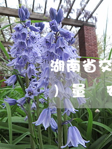 湖南省交通建設(shè)工程質(zhì)量與安全生產(chǎn)條例最新修正【全文】