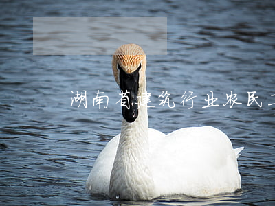湖南省建筑行业农民工劳动合同
