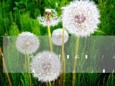 湖南省律師收費(fèi)指導(dǎo)標(biāo)準(zhǔn)(湖南省律師收費(fèi)管理辦法)