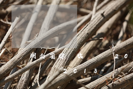 湖南省律師收費標準2021(湖南省律師收費標準2018)