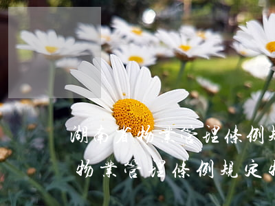 湖南省物业管理条例规定物业逾期-湖南省物业管理条例规定物业逾期收费