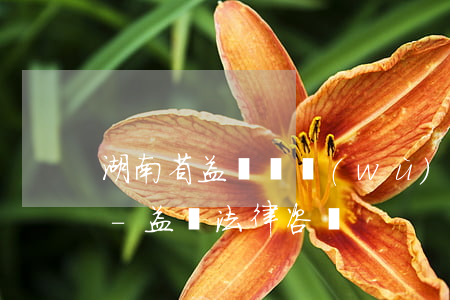 湖南省益陽債務(wù)合同律師咨詢專線-益陽法律咨詢