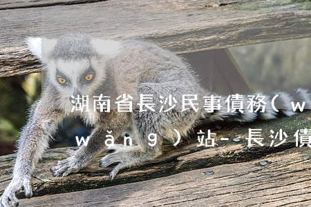 湖南省長沙民事債務(wù)律師咨詢網(wǎng)站-長沙債務(wù)糾紛律師事務(wù)所排名