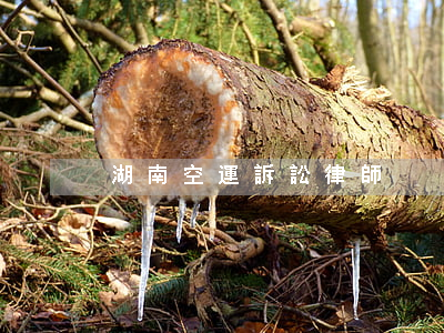 湖南空運訴訟律師