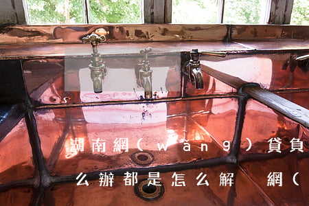 湖南網(wǎng)貸負(fù)債逾期怎么辦(都是怎么解決網(wǎng)貸逾期的)