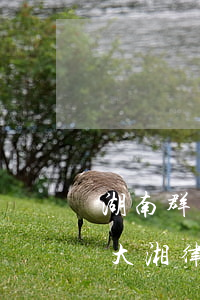 湖南群龍律師事務(wù)所是真的嗎(湖南大湘律師事務(wù)所怎么樣)