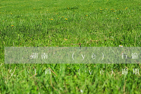 湖南興業(yè)銀行逾期還款協(xié)商(興業(yè)逾期三個(gè)月還能不能去銀行協(xié)商還款)