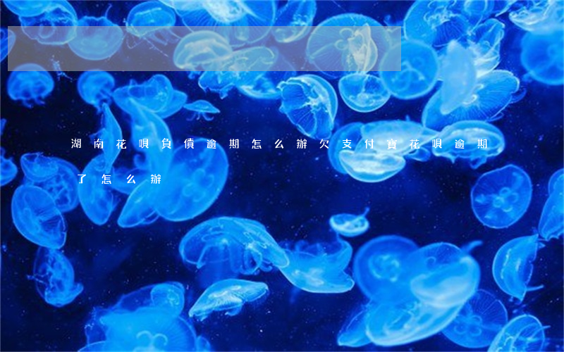 湖南花唄負債逾期怎么辦(欠支付寶花唄逾期了怎么辦)