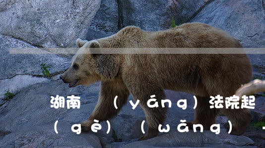 湖南萊陽(yáng)法院起訴一般是那個(gè)網(wǎng)貸-耒陽(yáng)人民法院起訴網(wǎng)貸