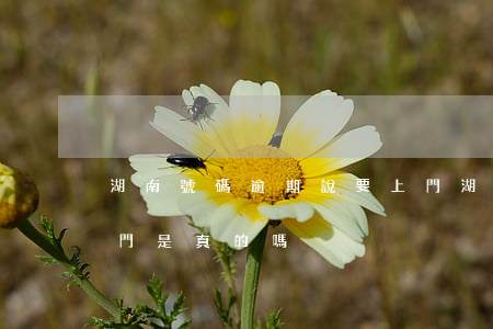 湖南號碼逾期說要上門(湖南號碼逾期說要上門是真的嗎)