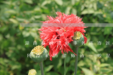 湖南赫诚律师事务所寄到公司(赫诚律师事务所寄来的律师函一般是欠那个平台的款)