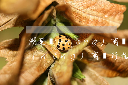 湖南農(nóng)商銀行貸款逾期(湖南農(nóng)商銀行信用貸款)